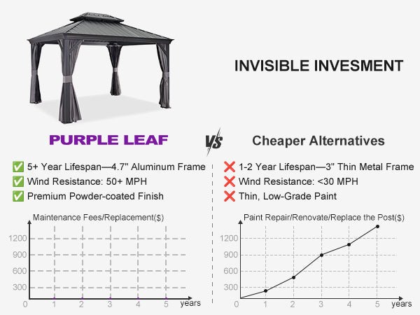 Invisible Investment