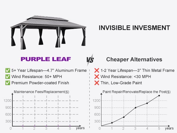 Invisible Investment