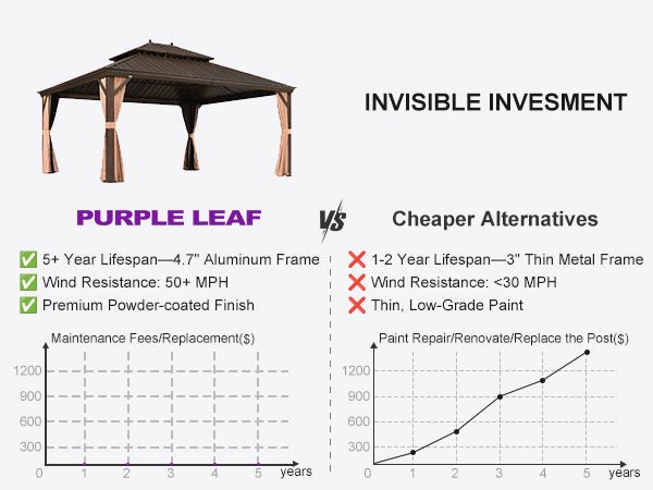 Invisible Investment